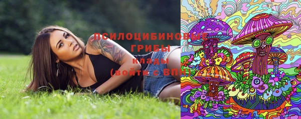 гашик Вязьма