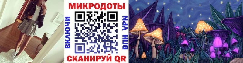 mega сайт  Хилок  Галлюциногенные грибы Psilocybe 
